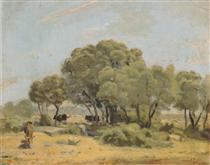 Olive trees in Spain - Фердинанд Ходлер