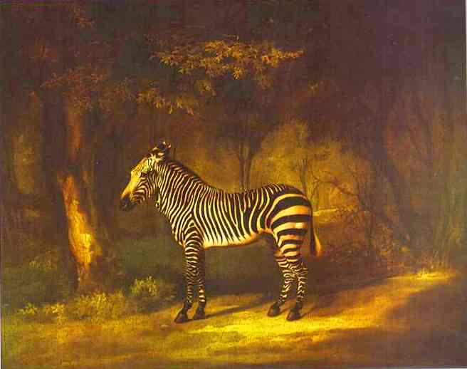 Zebra, 1762 - 1763 - George Stubbs