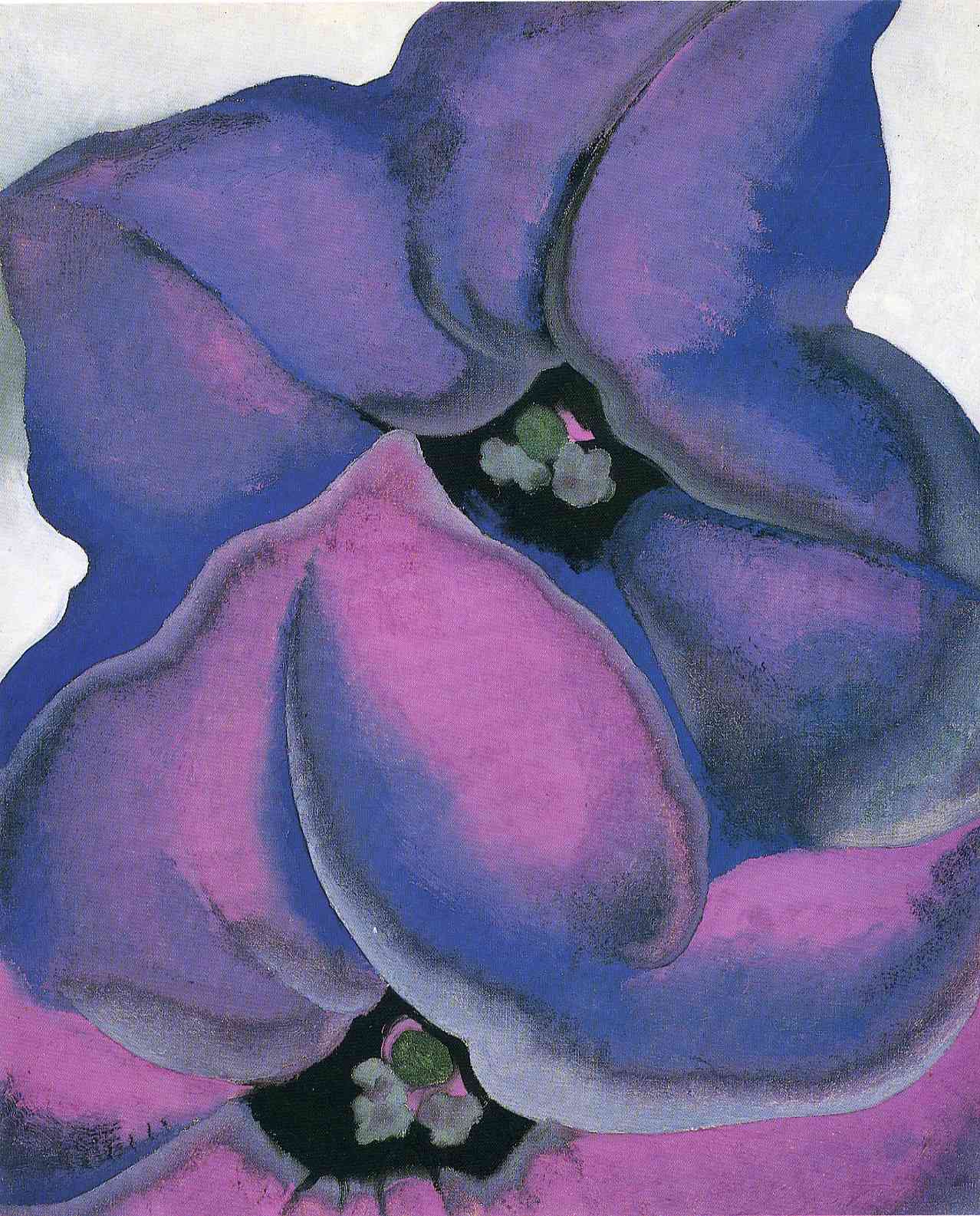 Image result for Purple Petunias