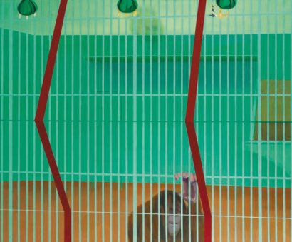 Orang-Outang derrière la grille, 1965 - Gilles Aillaud
