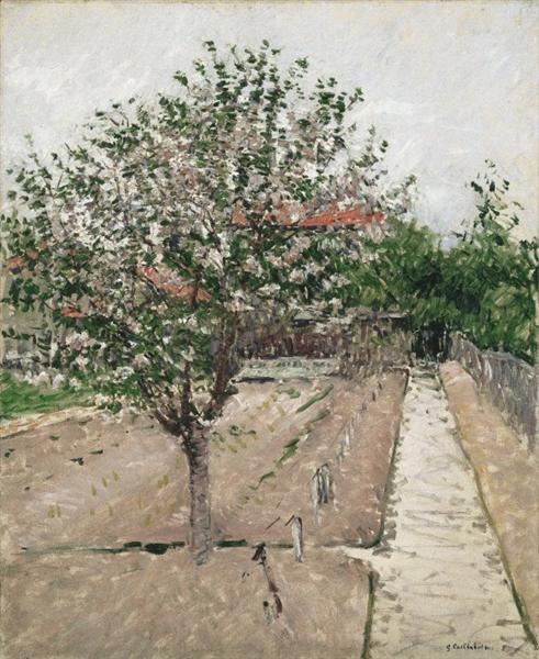 Apple Tree in Blossom, c.1885 - Gustave Caillebotte