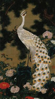 Old Pine Tree and Peacock - 伊藤若冲