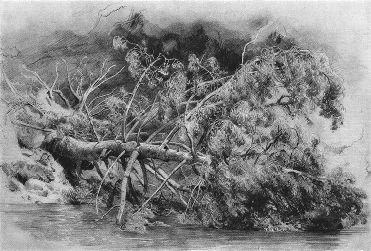 Fallen tree. Siverskaya, 1879 - Iwan Iwanowitsch Schischkin