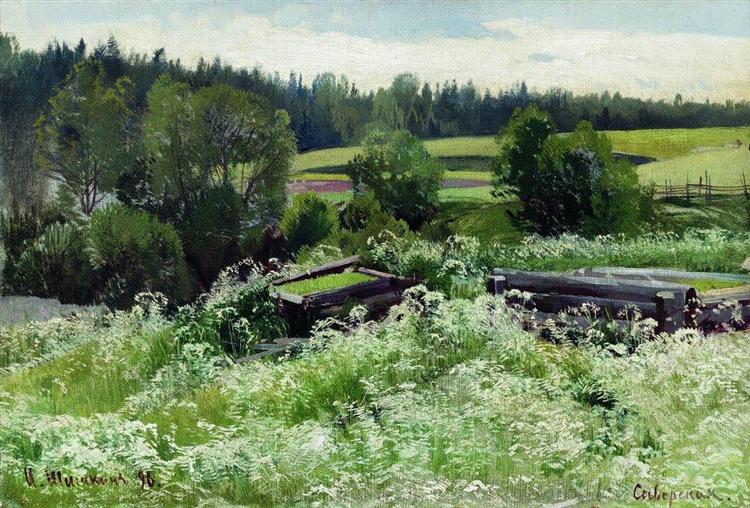 В Сиверской, 1896 - Иван Шишкин