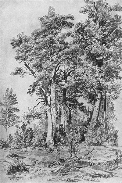 In the forest, 1889 - Iván Shishkin