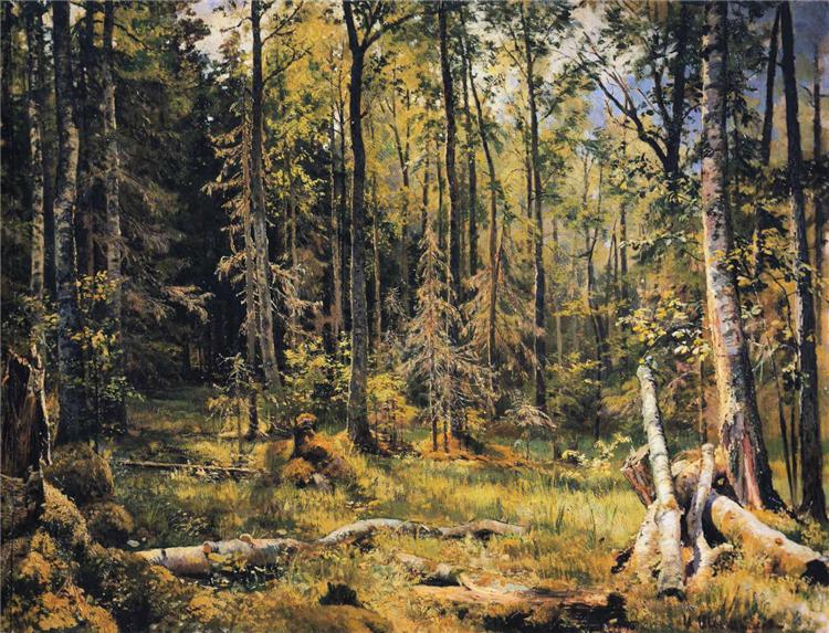 Mixed Forest. Shmetsk Near Narva, 1888 - Iwan Iwanowitsch Schischkin