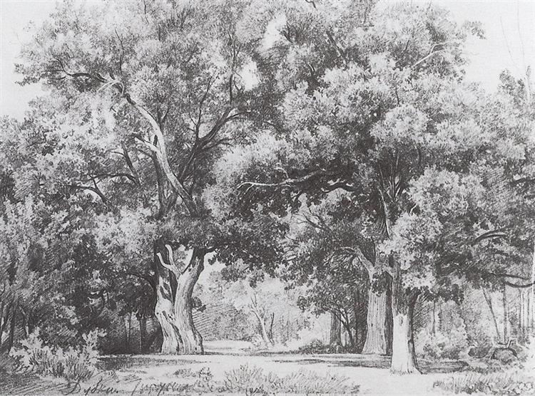 Oaks, 1857 - Iwan Iwanowitsch Schischkin