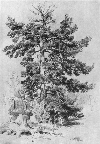 Pine, 1889 - Iván Shishkin