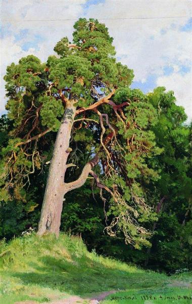 Pine, 1892 - Iwan Iwanowitsch Schischkin