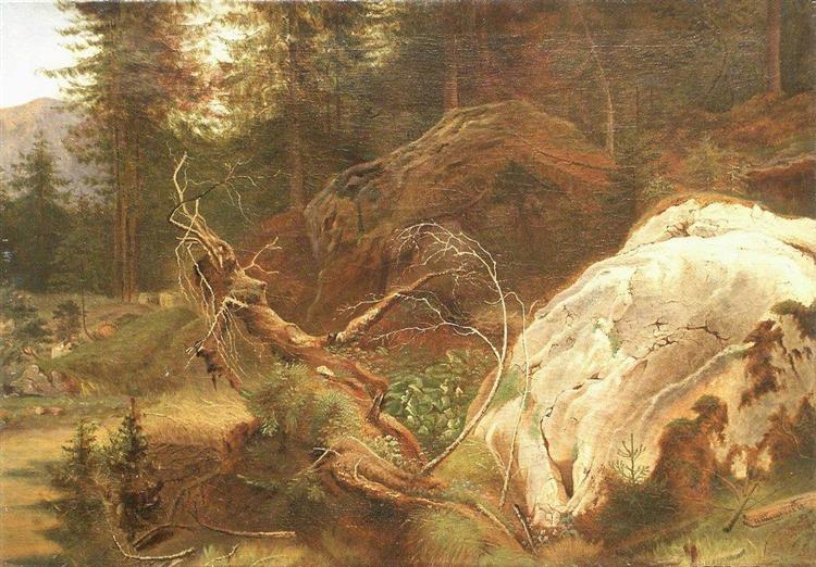 Камни в лесу, 1865 - Иван Шишкин