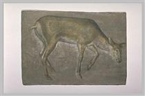 Sketch of deer doe - Jacopo Bellini