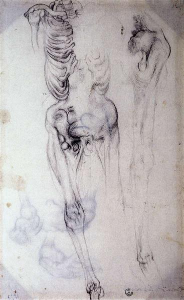 Анатомічне дослідження, c.1550 - Джакопо Понтормо