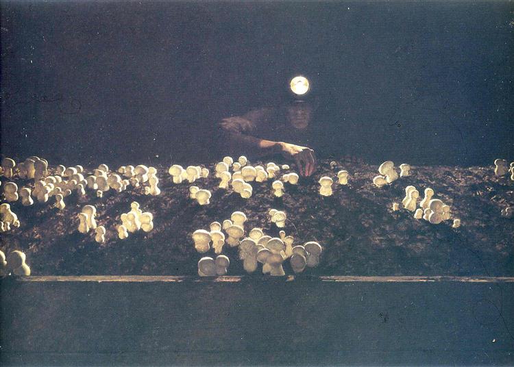 Mushroom Picker, 1963 - Jamie Wyeth