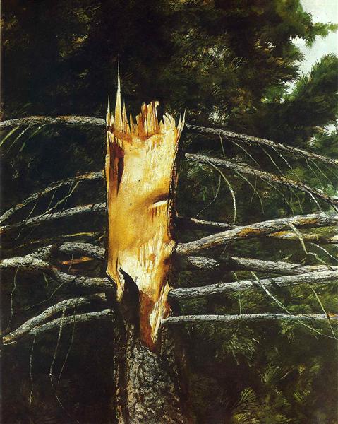 Torn Spruce, 1975 - Jamie Wyeth