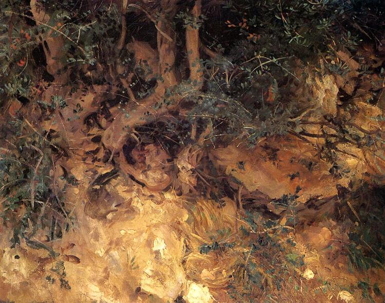 Valdemosa, Majorca Thistles and Herbage on a Hillside, 1908 - Джон Сингер Сарджент