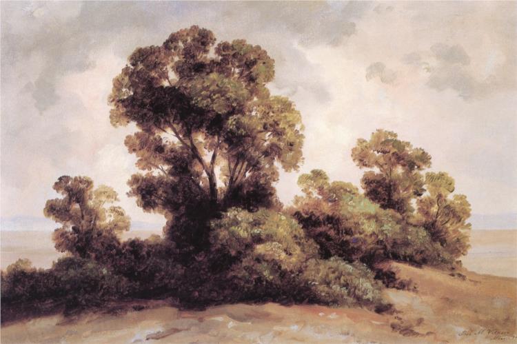 Estudio de árboles, 1907 - Хосе Марія Веласко