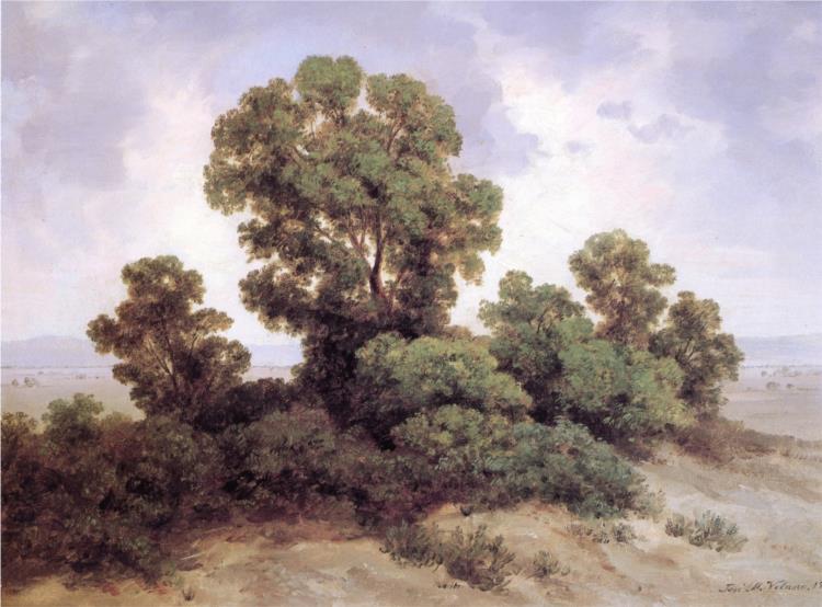 Estudio de árboles, 1908 - José María Velasco Gómez
