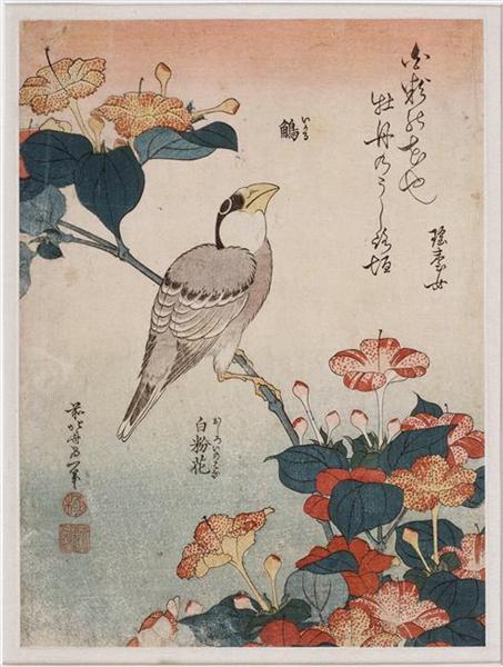 Grosbeak and mirabilis, 1834 - Hokusai