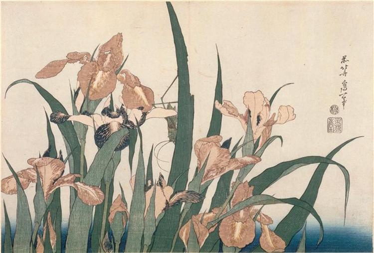 Irises and Grasshopper - 葛飾北齋