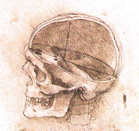 View of a Skull, c.1500 - Леонардо да Вінчі