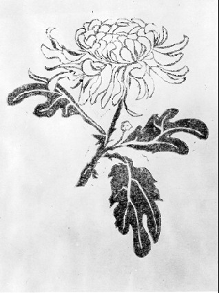 Chrysanthemum, 1916 - M.C. Escher