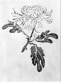 Chrysanthemum - M.C. Escher