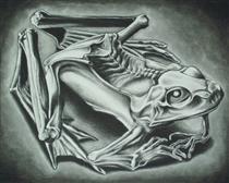 Mumified Frog - M. C. Escher