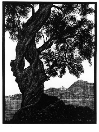 Old Olive Tree, Corsica, 1934 - Мауриц Корнелис Эшер