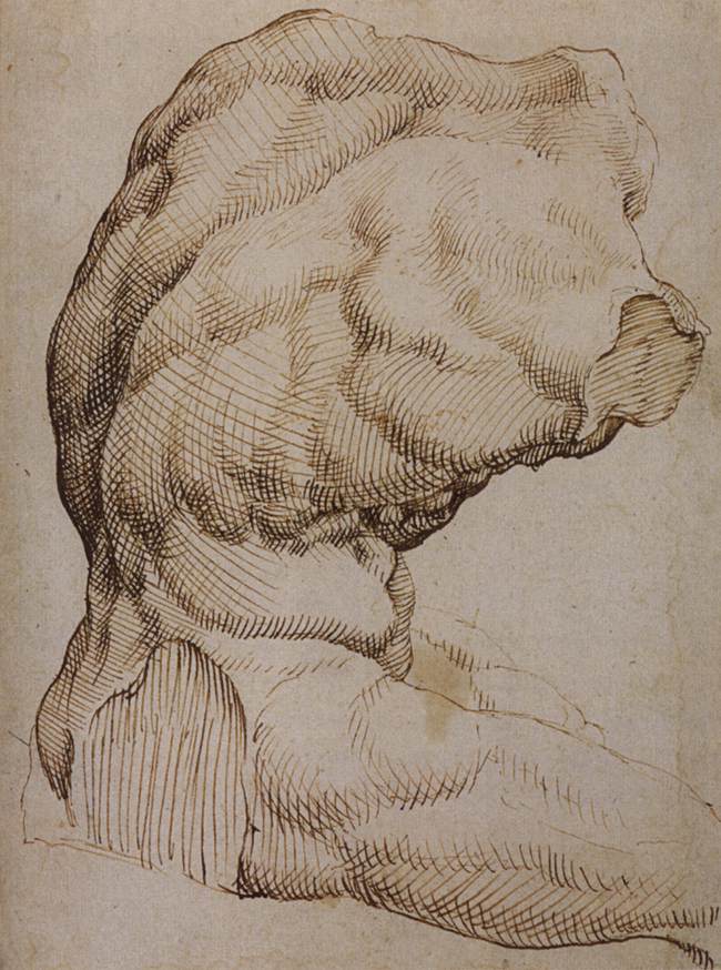 The Belvedere Torso, c.1535 Maerten van Heemskerck