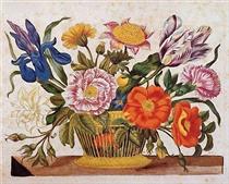 from Der Raupen wunderbare Verwandlung und sonderbare Blumennahrung, Plate CLXIX - Мария Сибилла Мериан