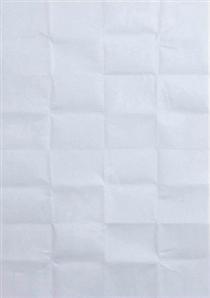Work No. 384 (A sheet of paper folded up and unfolded) - Martin Creed