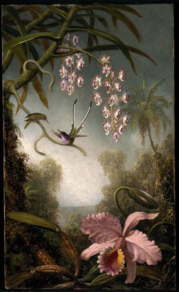 Orchids and Spray Orchids with Hummingbird, 1890 - Мартин Джонсон Хед