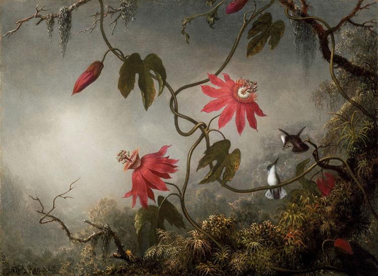 Passion Flowers with Hummingbirds, 1883 - Мартин Джонсон Хед