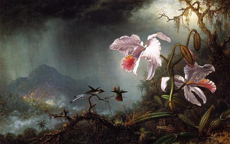 Two Fighting Hummingbirds with Two Orchids, 1875 - Martin Johnson Heade