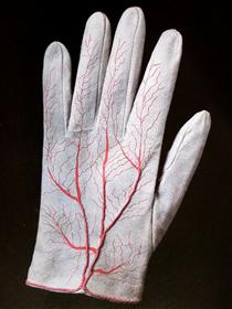 Pair of Gloves (detail) - Мерет Оппенгейм