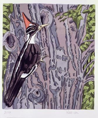 Pileated Woodpecker, 1995 - Neil Welliver