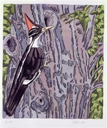 Pileated Woodpecker - Neil Welliver