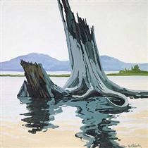 Stumps and Allagash - Neil Welliver