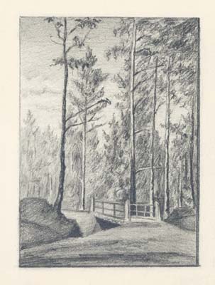 Second bridge on road to threshing floor in State Forest, 1893 - Микола Реріх