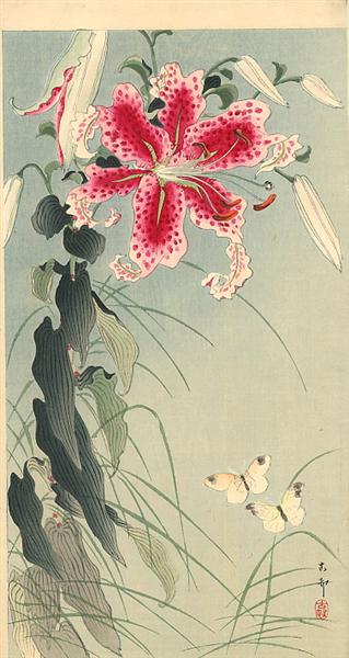 Lily and Butterflies, c.1912 - 小原古邨