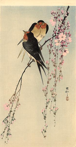 Two barn swallows on blossoming cherry - Охара Косон