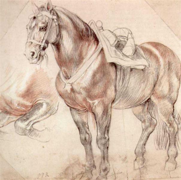 Etude of horse, c.1619 - c.1620 - Pierre Paul Rubens