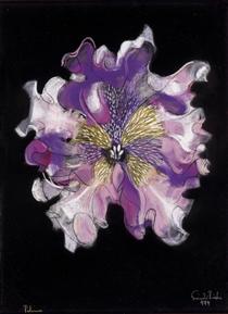 Purple Flower - Piroska Szanto