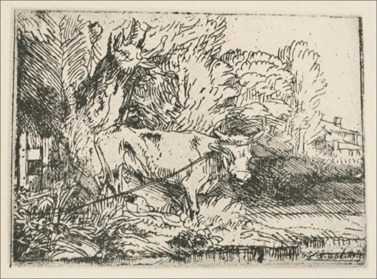 The Bull, 1650 - Рембрандт