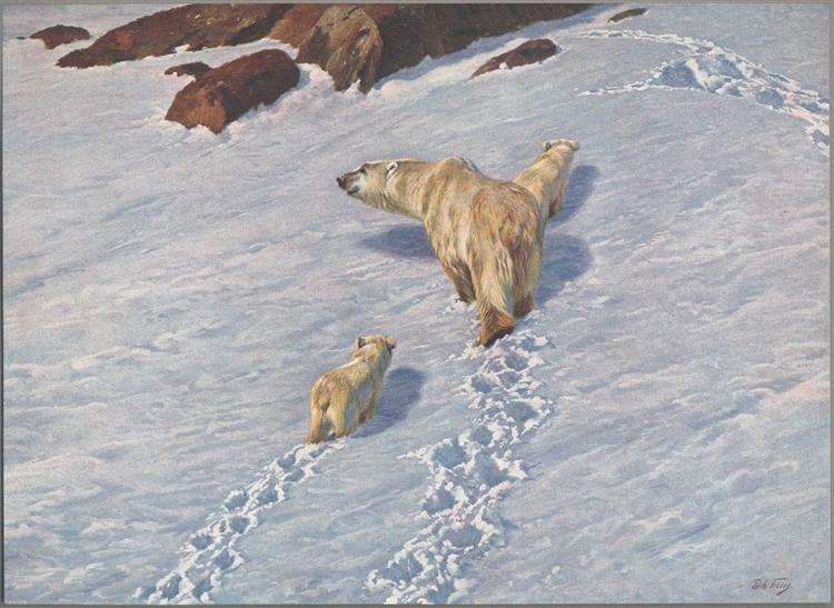 Polar bear family - Рихард Фризе