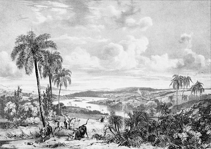 Green fields at the boards of Rio das Velhas, c.1828 - 理查·帕克斯·波寧頓