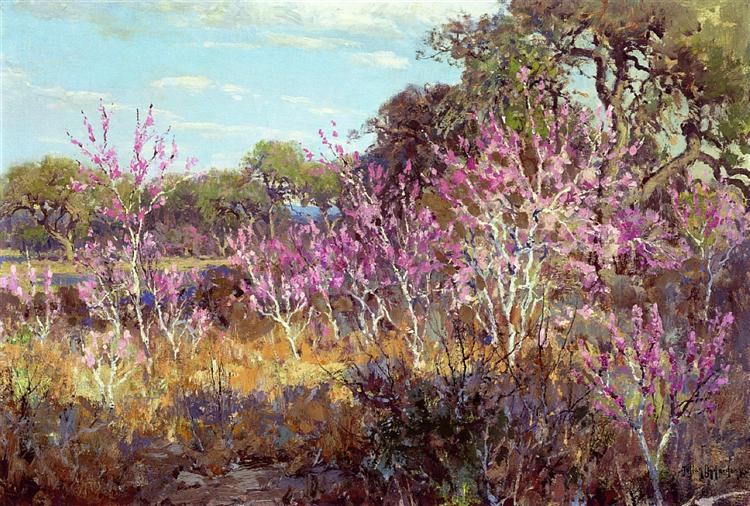 Redbud Tree in Bloom at Leon Springs, San Antonio, 1921 - Robert Julian Onderdonk