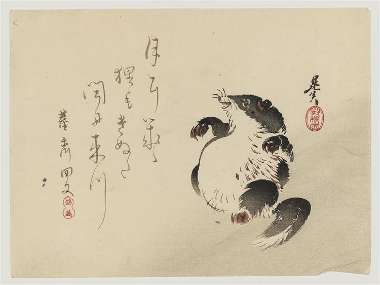 Racoon-dog (Tanuki) - Shibata Zeshin