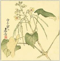 Summer Flower - Shibata Zeshin