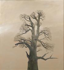 Monastery Chestnut Tree - Stefan Caltia